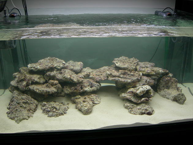 Le rocce e i sassi nell'allestimento di un acquario