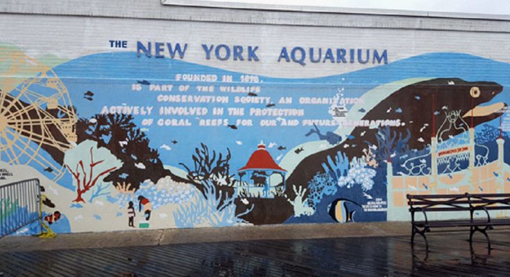 new-york-aquarium-1